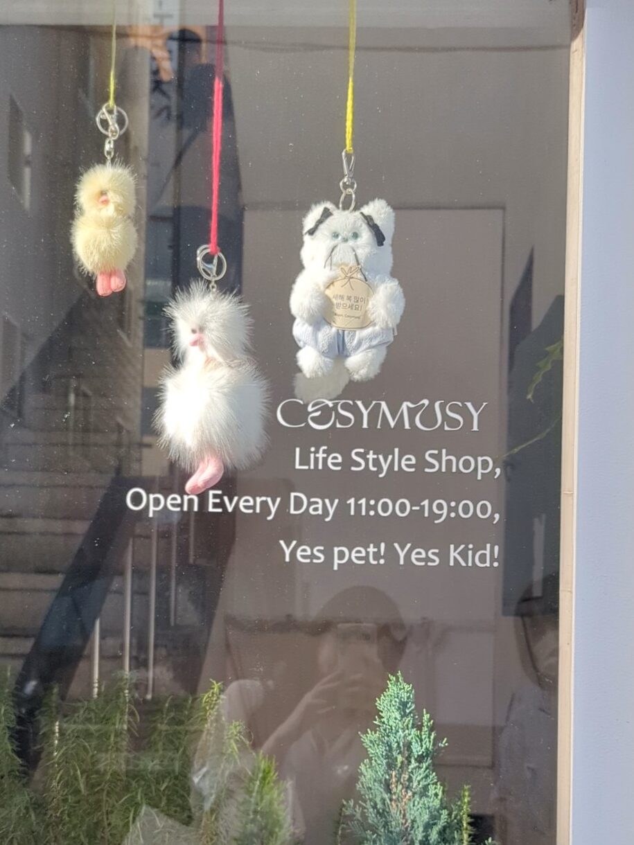 cosymosyの外観に飾られたマスコット